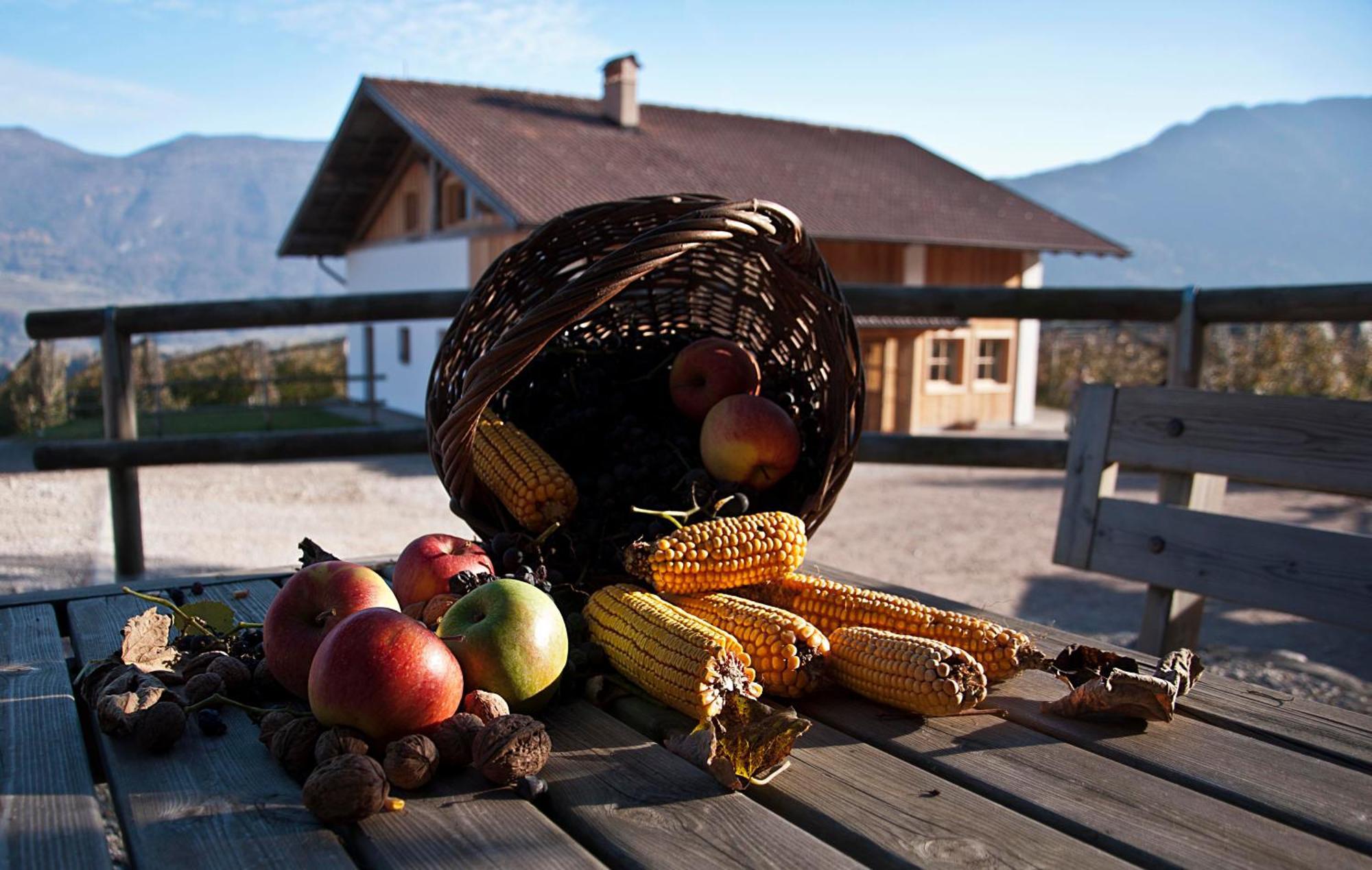 Agritur Maso Pra' Cavai B&B Balbido-rango Zewnętrze zdjęcie